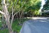 12727 Featherwood Dr photo